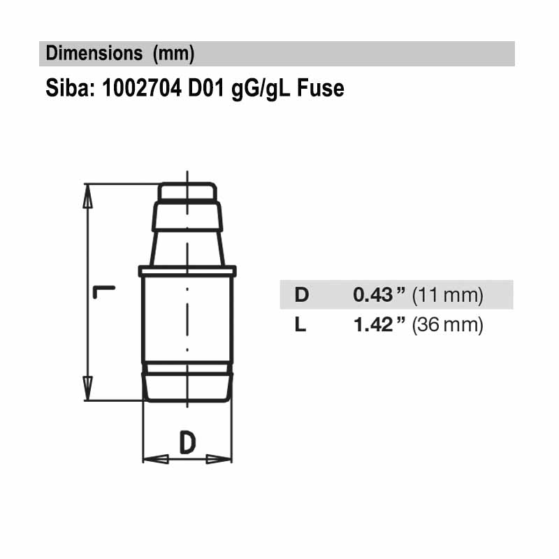 1002704.2A Siba D01gG/gLFuses
